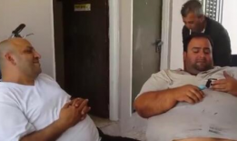 胖熊视频,趣味横生的动物世界之旅